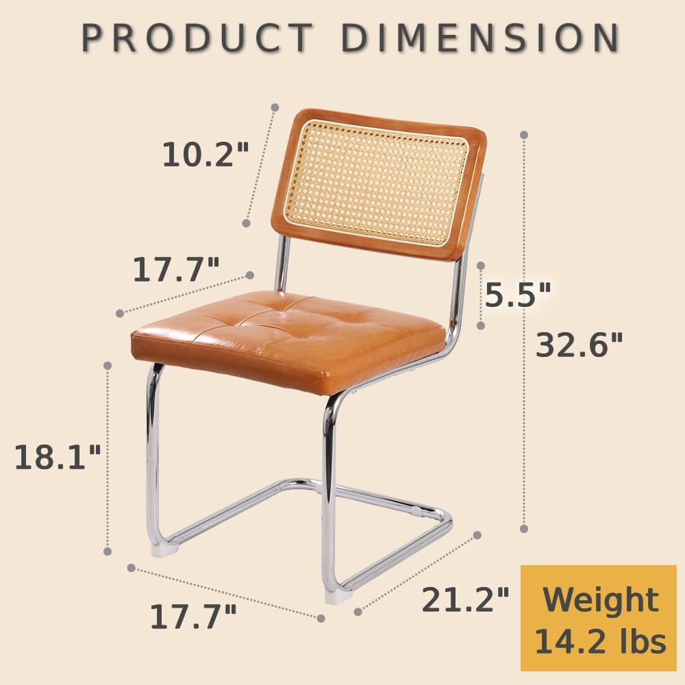 Japard Dining Chairs Set of 2, Modern Mid Century Upholstery, Rattan Cantilever Armless with Metal for Bedroom Living Room Kitchen Black 333 lbs