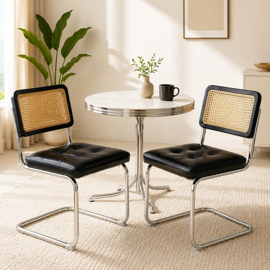 Japard Dining Chairs Set of 2, Modern Mid Century Upholstery, Rattan Cantilever Armless with Metal for Bedroom Living Room Kitchen Black 333 lbs
