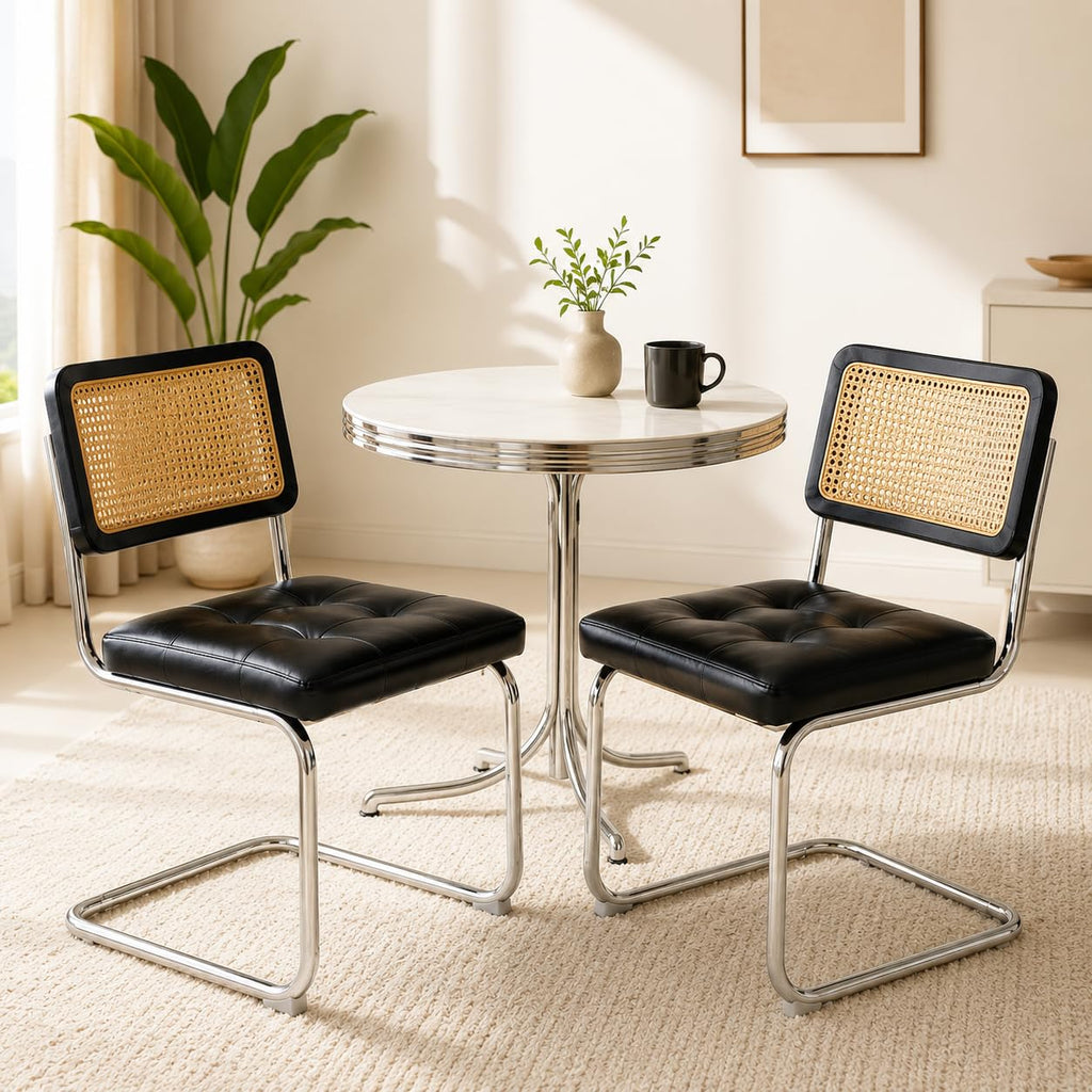 Japard Dining Chairs Set of 2, Modern Mid Century Upholstery, Rattan Cantilever Armless with Metal for Bedroom Living Room Kitchen Black 333 lbs